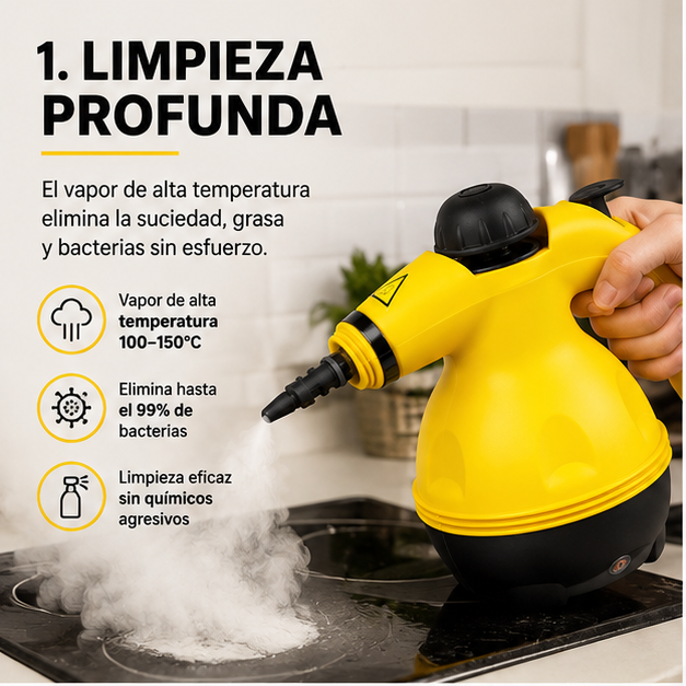 Limpieza Profunda